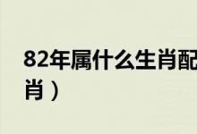 82年属什么生肖配对最合适（82年属什么生肖）