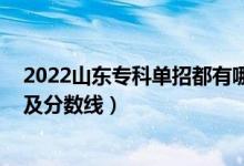 2022山东专科单招都有哪些学校（2022山东专科大学排名及分数线）