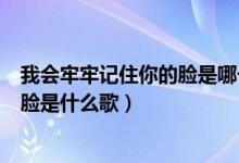 我会牢牢记住你的脸是哪一首歌的歌词（我会牢牢记住你的脸是什么歌）