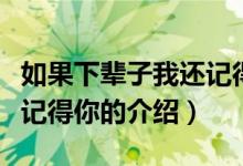 如果下辈子我还记得你（关于如果下辈子我还记得你的介绍）