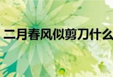 二月春风似剪刀什么意思（二月春风似剪刀）