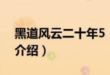 黑道风云二十年5（关于黑道风云二十年5的介绍）