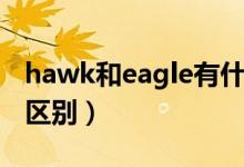 hawk和eagle有什么不同（hawk和eagle的区别）