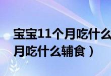 宝宝11个月吃什么能提高免疫力（宝宝11个月吃什么辅食）