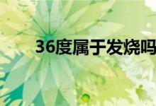 36度属于发烧吗（36度属于低烧吗）