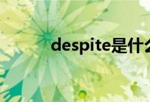 despite是什么意思（despite）