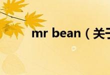 mr bean（关于mr bean的介绍）