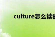 culture怎么读的（culture怎么读）