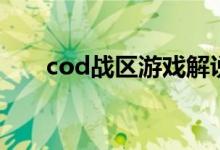 cod战区游戏解说（cod是什么游戏）