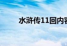 水浒传11回内容概括（水浒传11）