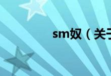 sm奴（关于sm奴的介绍）