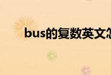 bus的复数英文怎么写（bus的复数）