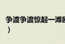 争渡争渡惊起一滩鸥鹭是什么意思（争渡争渡）