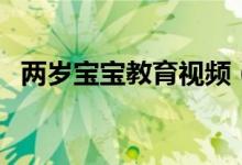 两岁宝宝教育视频（两岁的宝宝怎么教育）