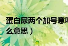 蛋白尿两个加号意味着什么（选择性蛋白尿什么意思）