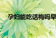 孕妇能吃话梅吗早期（孕妇能吃话梅吗）