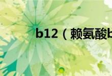 b12（赖氨酸b12的功效与作用）