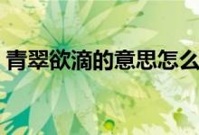 青翠欲滴的意思怎么解释（青翠欲滴的意思）