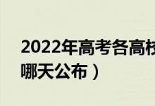 2022年高考各高校的最低投档线公布时间（哪天公布）