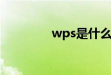 wps是什么（wps是什么）