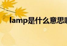 lamp是什么意思啊（lamp是什么意思）