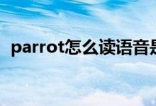 parrot怎么读语音是什么（parrot怎么读）