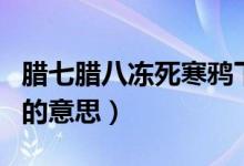 腊七腊八冻死寒鸦下一句（腊七腊八冻死寒鸦的意思）