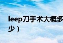 leep刀手术大概多少钱（leep刀手术费用多少）