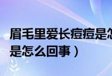 眉毛里爱长痘痘是怎么回事（眉毛里面长痘痘是怎么回事）