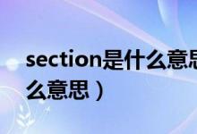 section是什么意思中文翻译（section是什么意思）