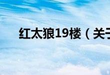 红太狼19楼（关于红太狼19楼的介绍）