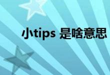 小tips 是啥意思（小tips是什么意思）