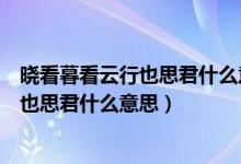 晓看暮看云行也思君什么意思（晓看天色暮看云行也思君坐也思君什么意思）