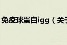 免疫球蛋白igg（关于免疫球蛋白igg的介绍）