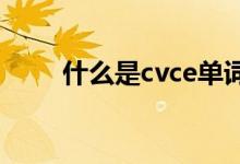 什么是cvce单词（什么是cvc置管）