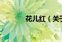 花儿红（关于花儿红的介绍）