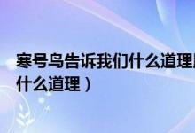 寒号鸟告诉我们什么道理用名言名句总结（寒号鸟告诉我们什么道理）