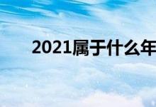 2021属于什么年（2021属于什么年）