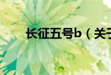 长征五号b（关于长征五号b的介绍）