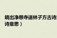 晓出净慈寺送林子方古诗意思视频（晓出净慈寺送林子方古诗意思）