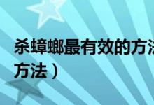 杀蟑螂最有效的方法洗衣粉（杀蟑螂最有效的方法）