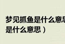 梦见抓鱼是什么意思周公解梦官网（梦见抓鱼是什么意思）