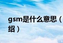 gsm是什么意思（关于gsm是什么意思的介绍）