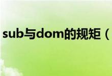 sub与dom的规矩（sub和dom的相处原则）