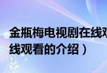 金瓶梅电视剧在线观看（关于金瓶梅电视剧在线观看的介绍）