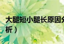 大腿短小腿长原因分析（大腿短小腿长原因分析）