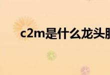 c2m是什么龙头股（c2m是什么概念）