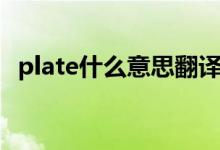 plate什么意思翻译中文（plate什么意思）