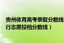 贵州体育高考录取分数线2021（2022贵州高考体育一本平行志愿投档分数线）