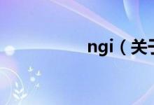 ngi（关于ngi的介绍）